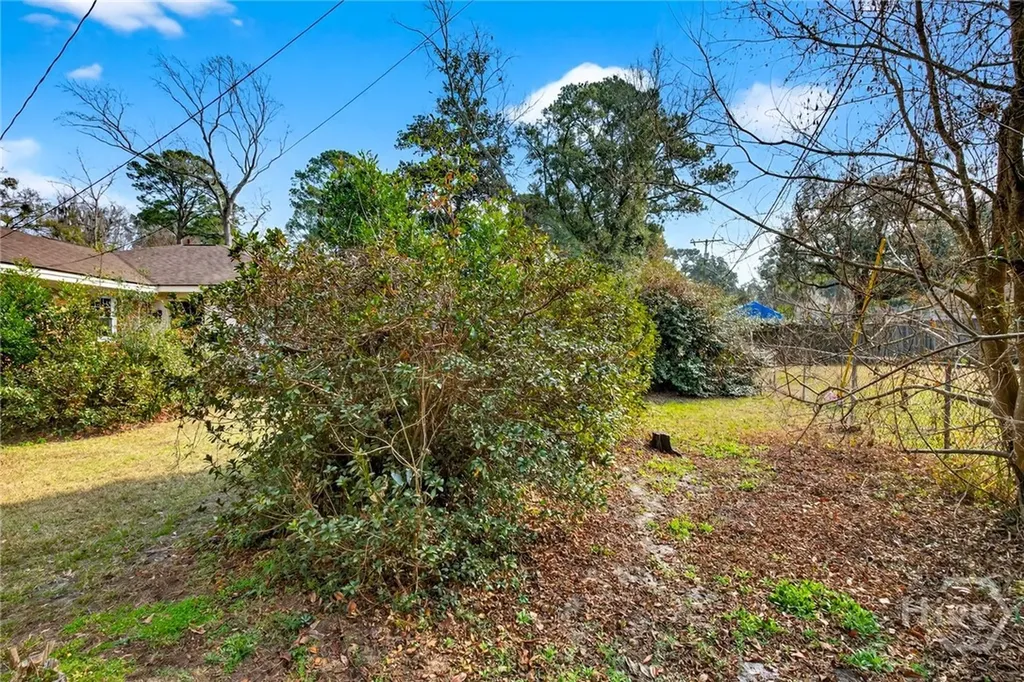 6 Prince Charles Court Savannah GA 31406