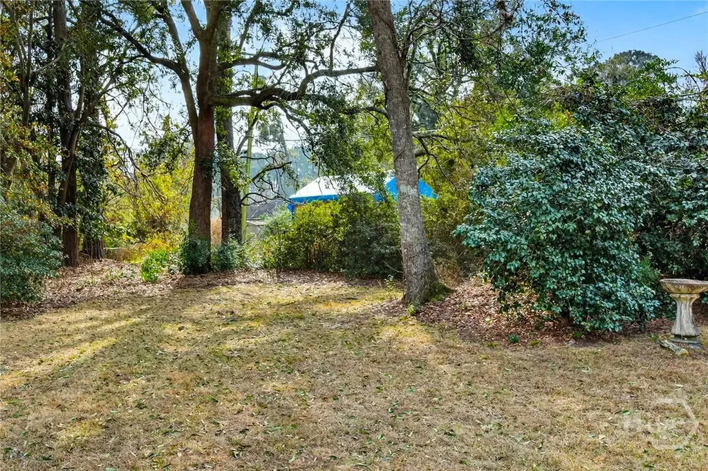 6 Prince Charles Court Savannah GA 31406