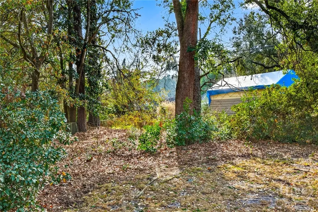6 Prince Charles Court Savannah GA 31406