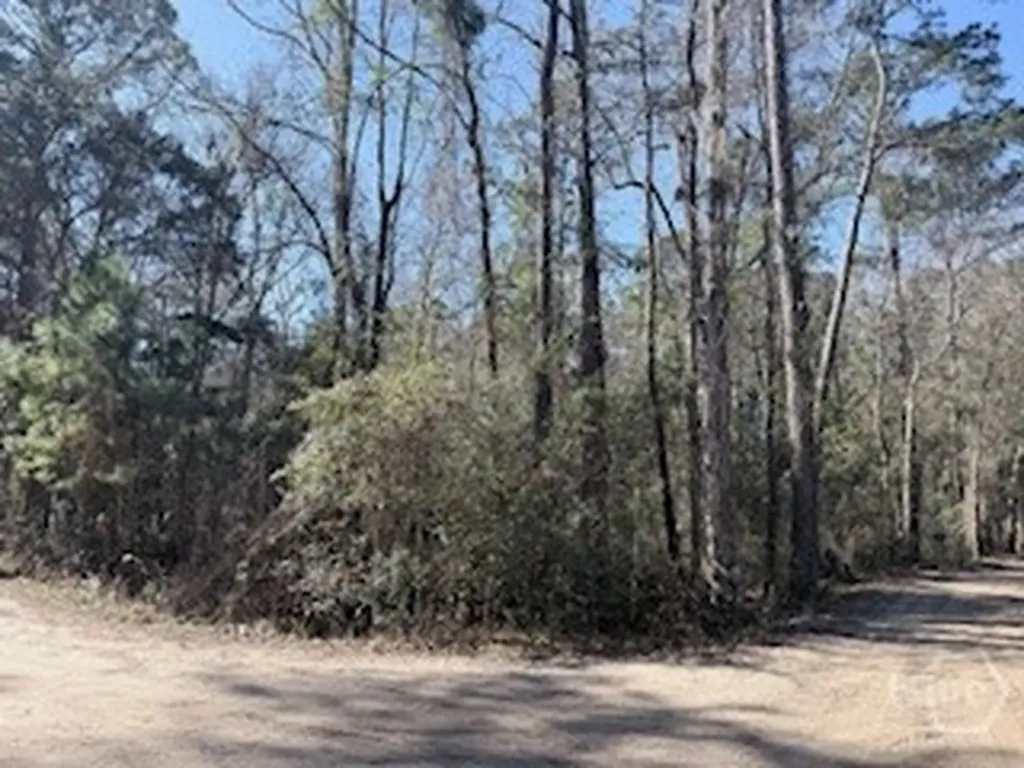138-140 Dogwood Lane Midway GA 31320