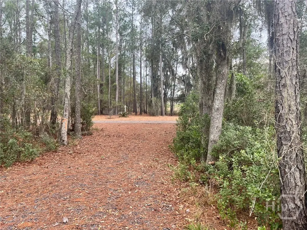 Tract 3 S Newport Drive NE Townsend GA 31331