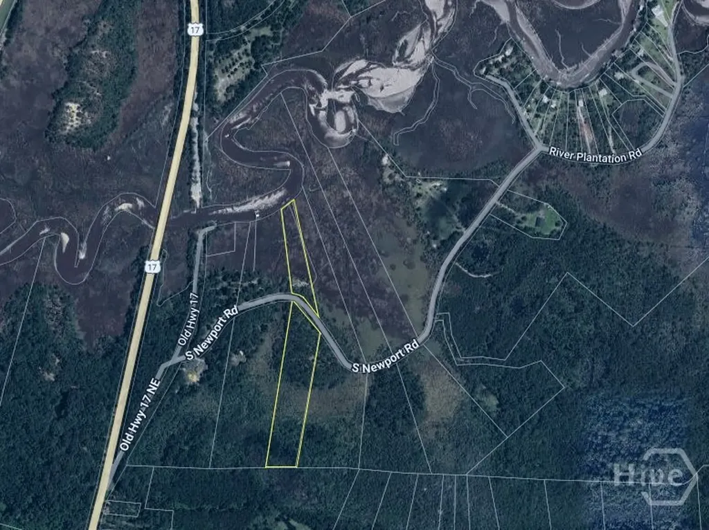 Tract 3 S Newport Drive NE Townsend GA 31331