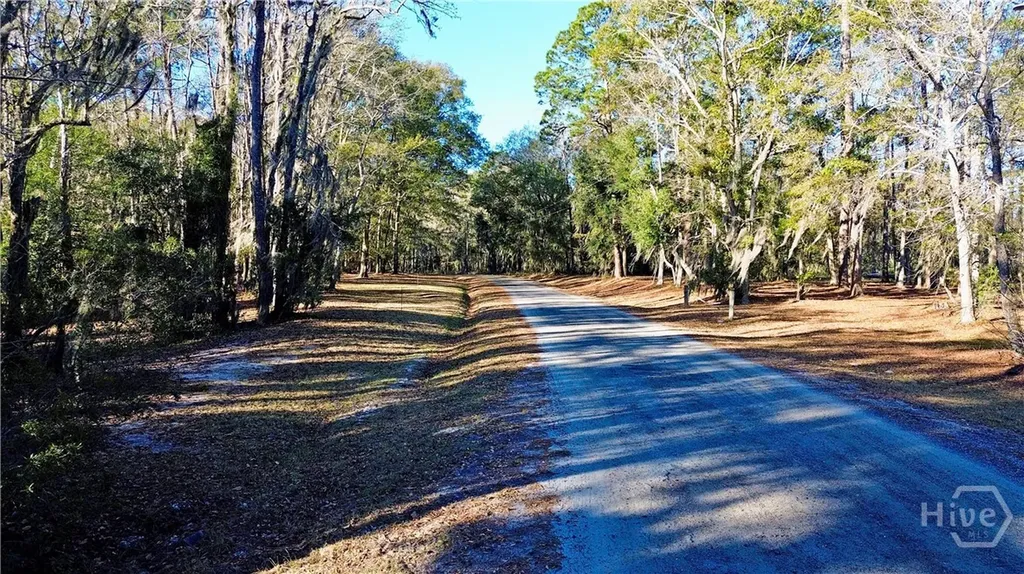 Tract 3 S Newport Drive NE Townsend GA 31331