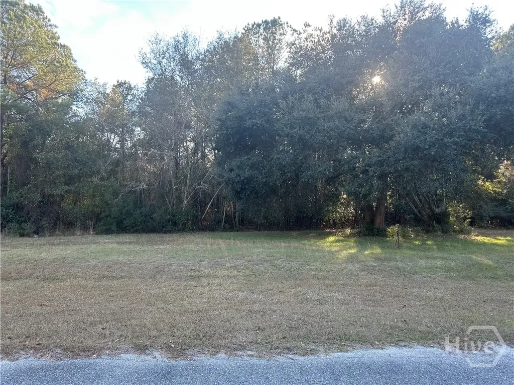 0 Dean Drive Guyton GA 31312