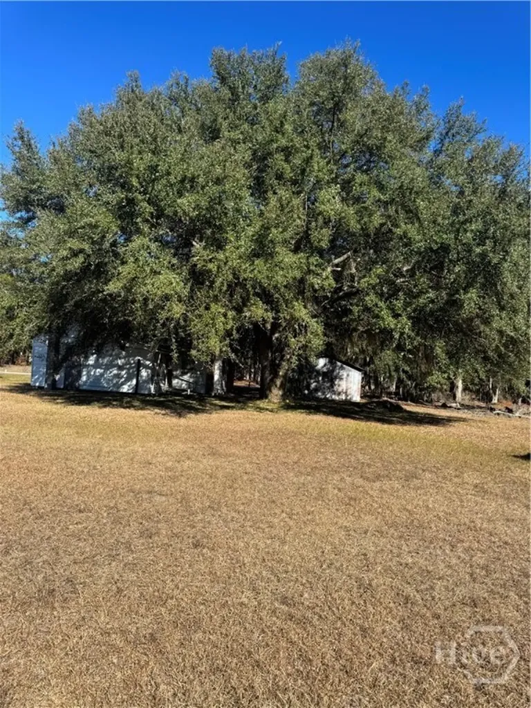 353 Wilder Road Allenhurst GA 31301