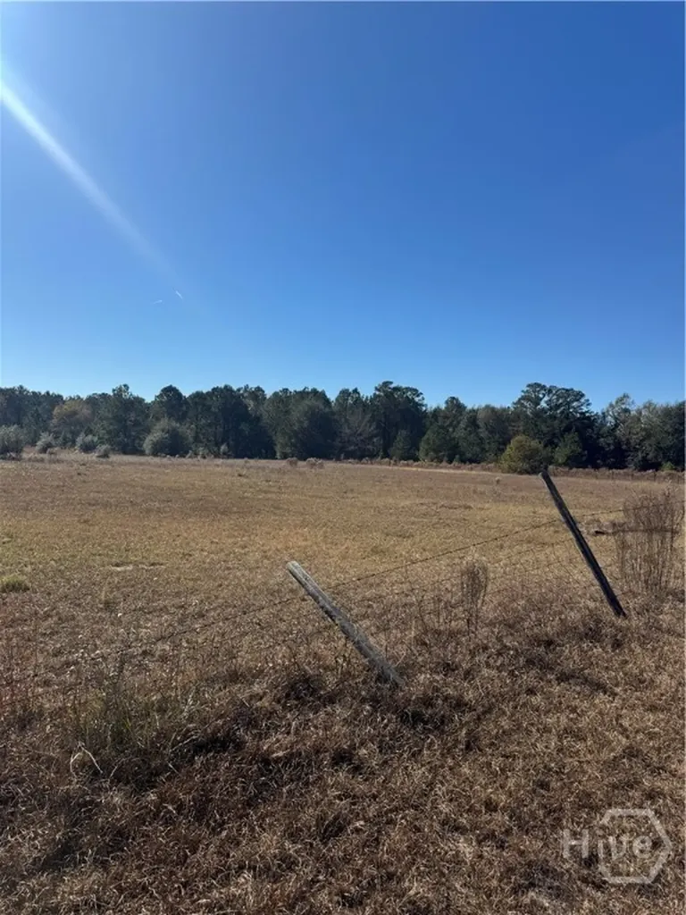 353 Wilder Road Allenhurst GA 31301