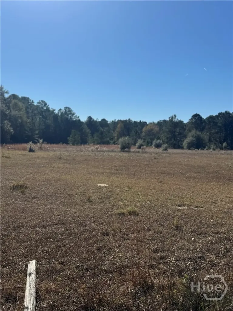 353 Wilder Road Allenhurst GA 31301