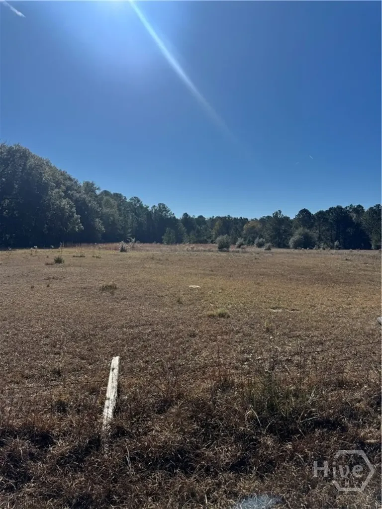 353 Wilder Road Allenhurst GA 31301