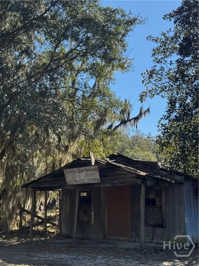 353 Wilder Road Allenhurst GA 31301