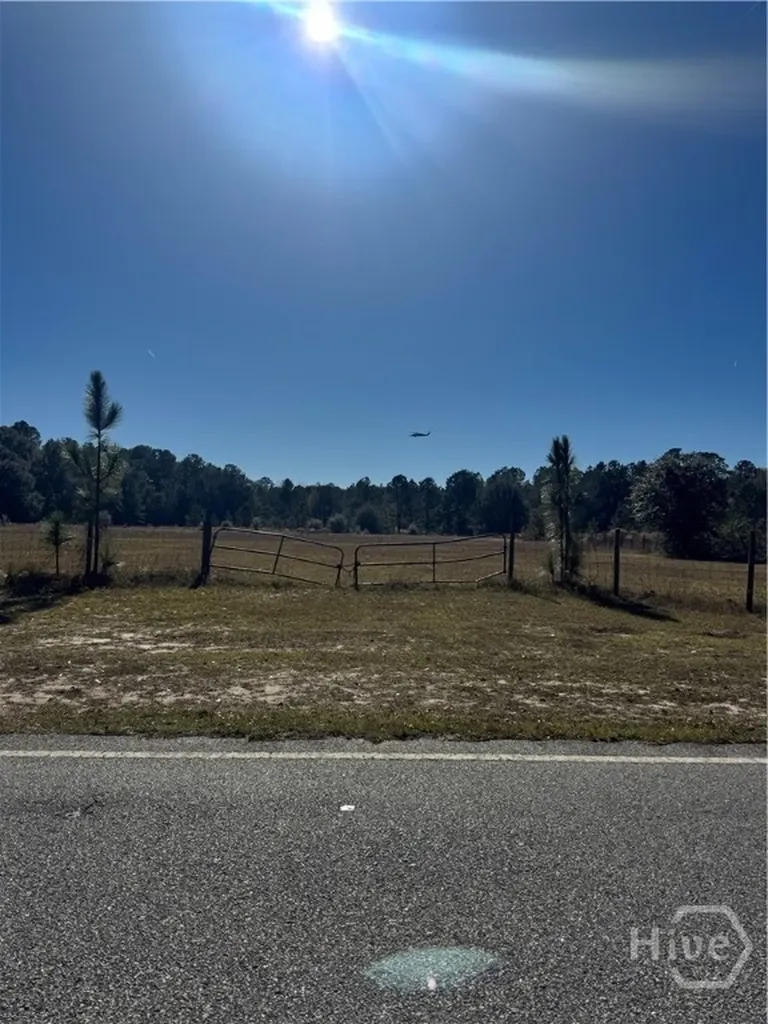 353 Wilder Road Allenhurst GA 31301