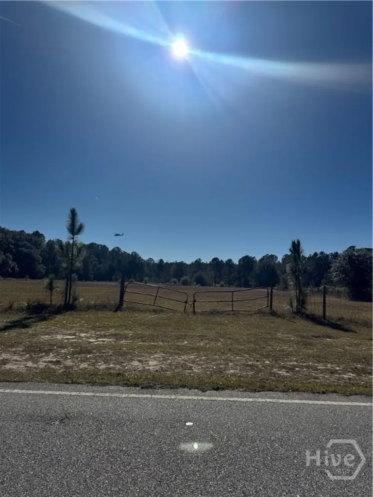 353 Wilder Road Allenhurst GA 31301