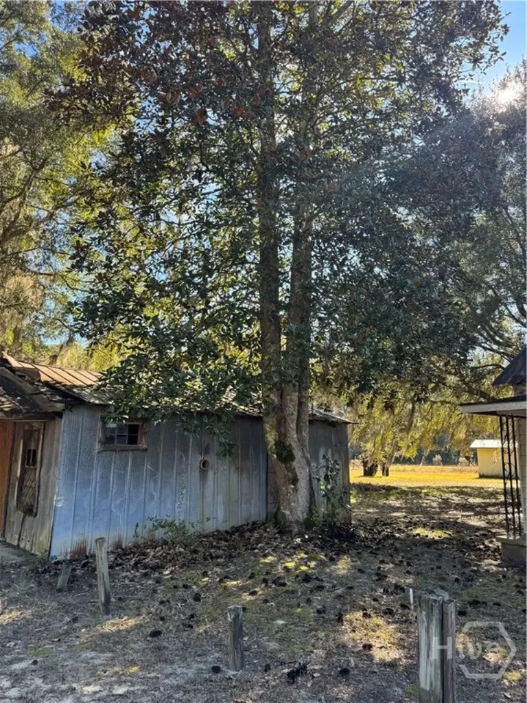 353 Wilder Road Allenhurst GA 31301