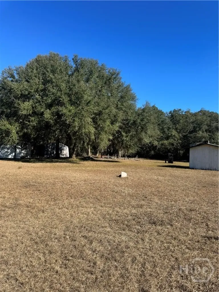 353 Wilder Road Allenhurst GA 31301