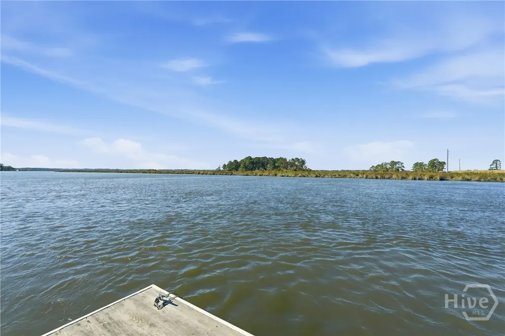 9 Brewster Street Savannah GA 31419