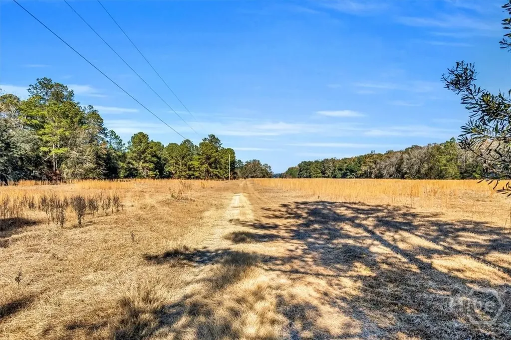 580 Old Gress Island Road Midway GA 31320