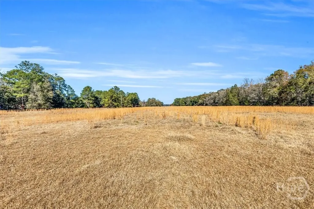 580 Old Gress Island Road Midway GA 31320