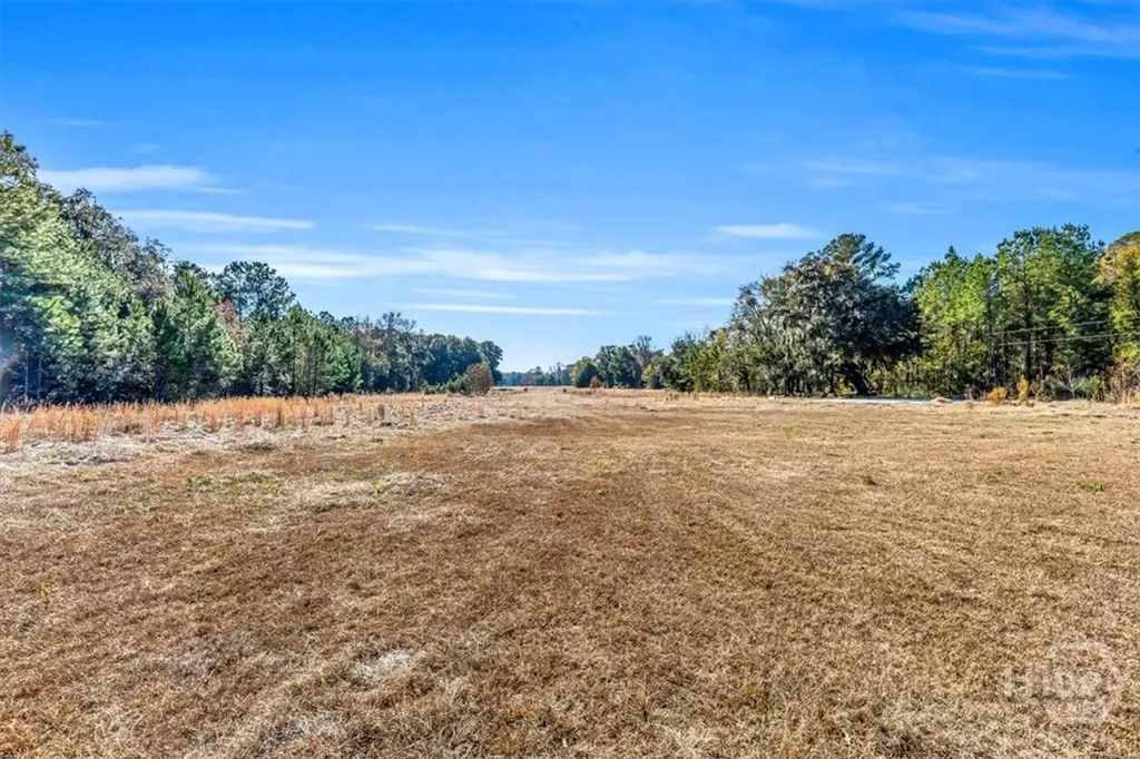 580 Old Gress Island Road Midway GA 31320