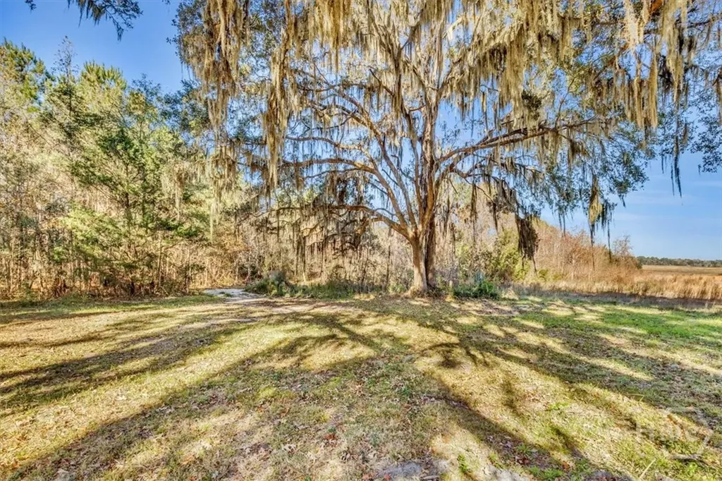 580 Old Gress Island Road Midway GA 31320