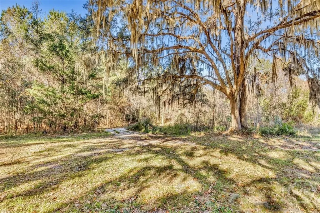 580 Old Gress Island Road Midway GA 31320