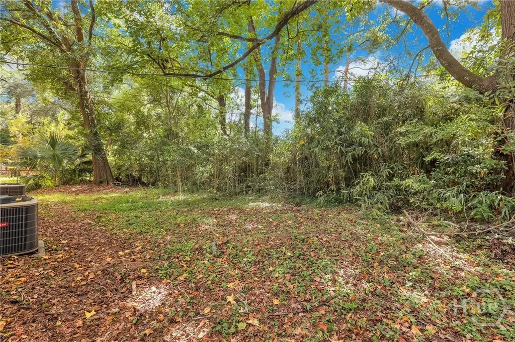 1313 E 55th Street Savannah GA 31404