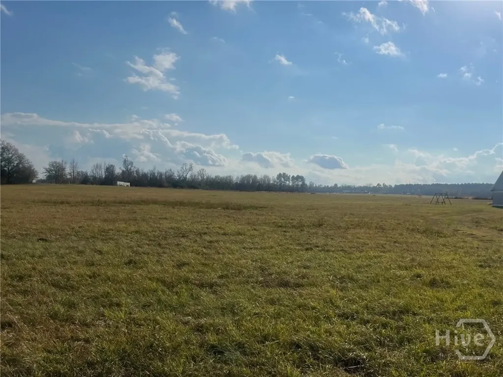 0 Old Savannah Road W Millen GA 30442