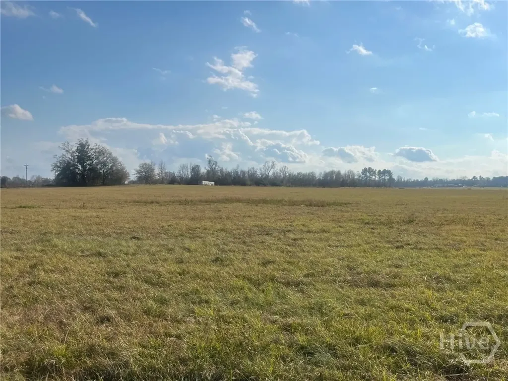 0 Old Savannah Road W Millen GA 30442