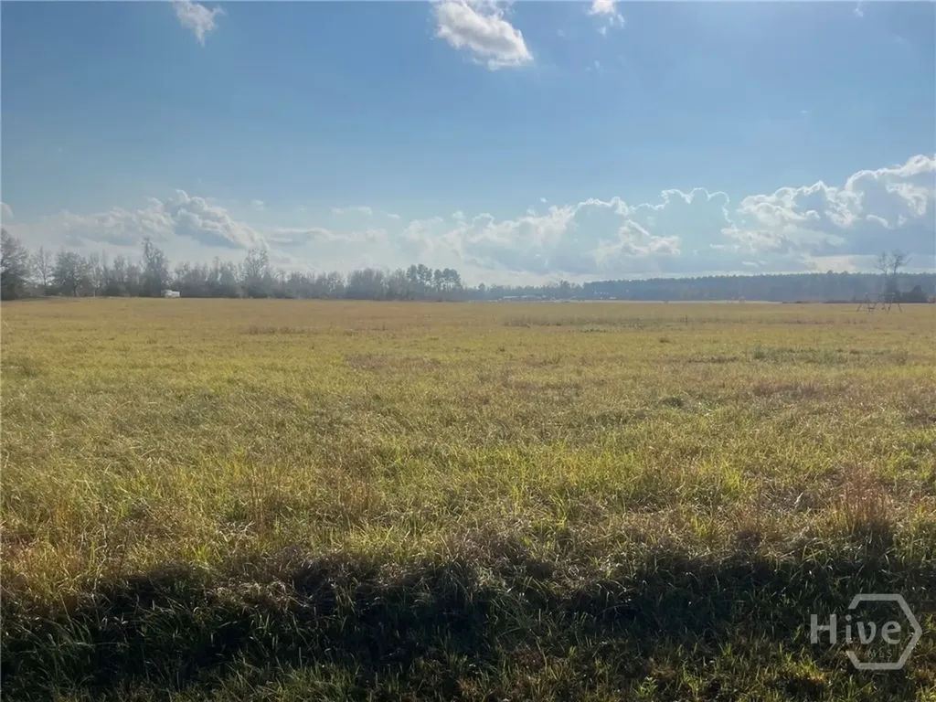0 Old Savannah Road W Millen GA 30442