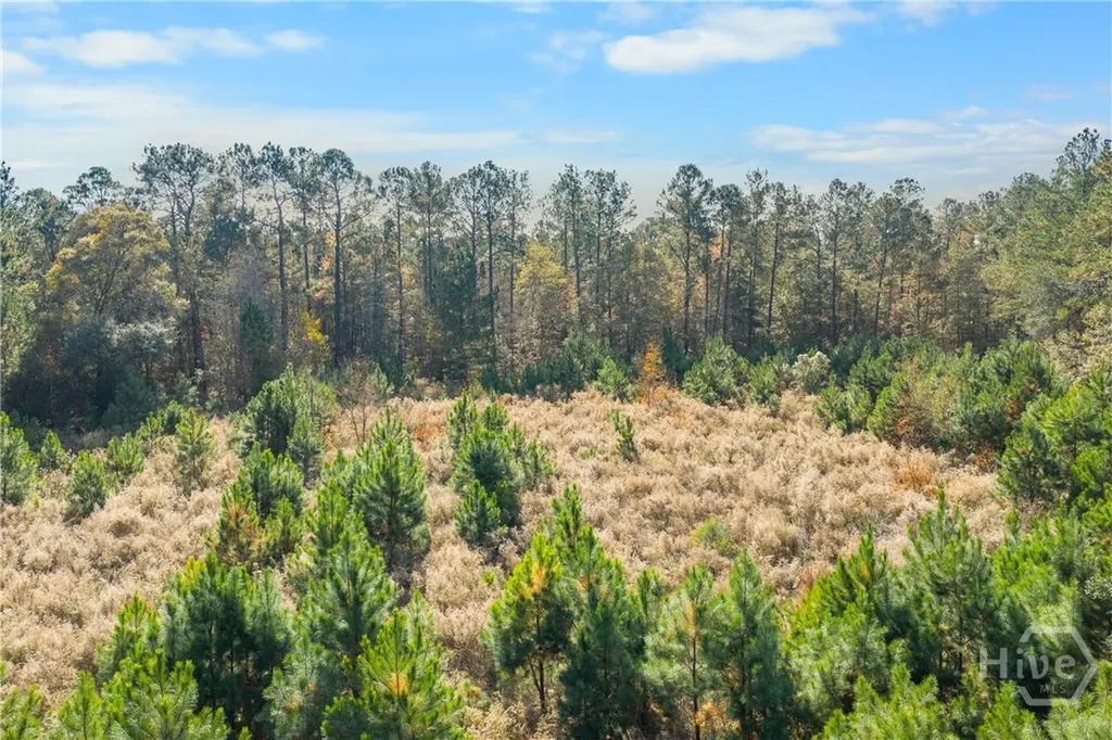 50 Old River Road Bloomingdale GA 31402