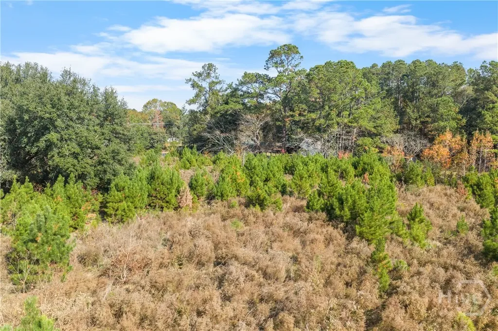 50 Old River Road Bloomingdale GA 31402