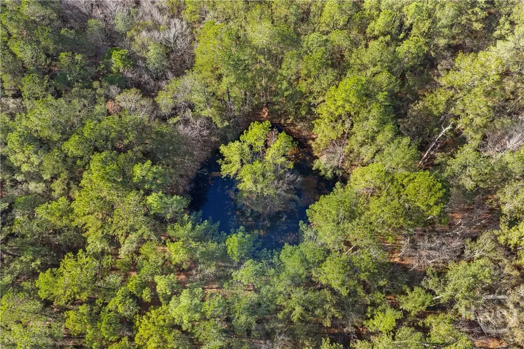 276 Highway 119 N Ellabell GA 31308