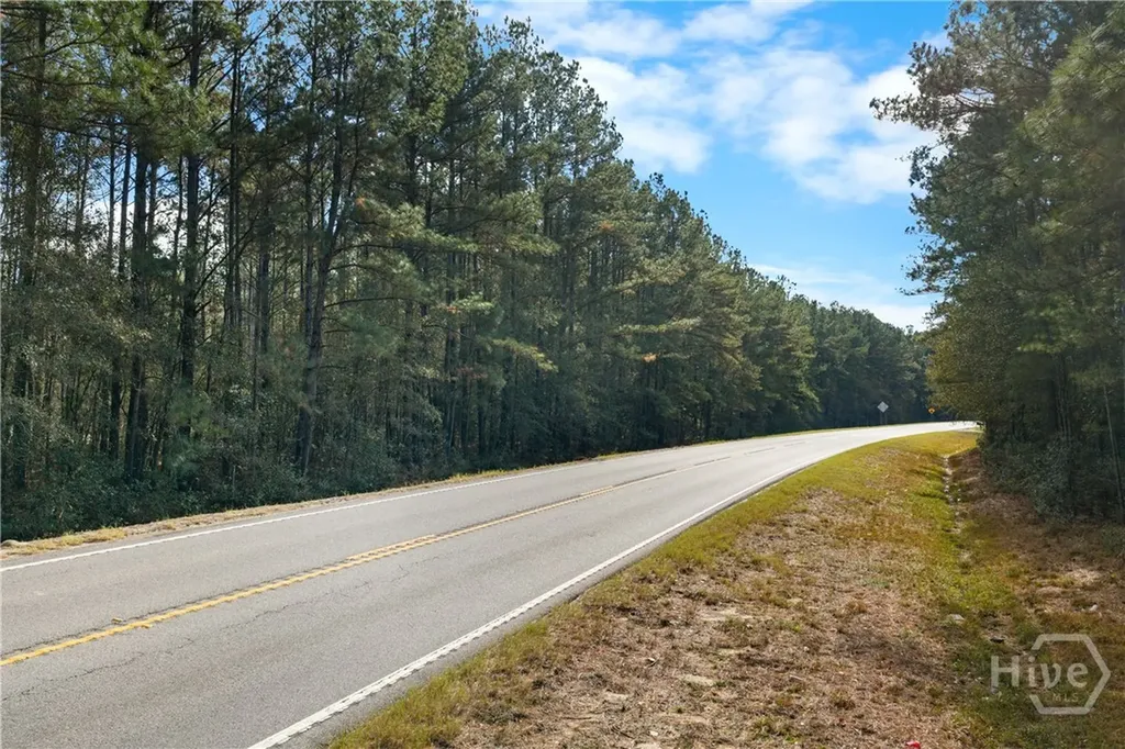 276 Highway 119 N Ellabell GA 31308