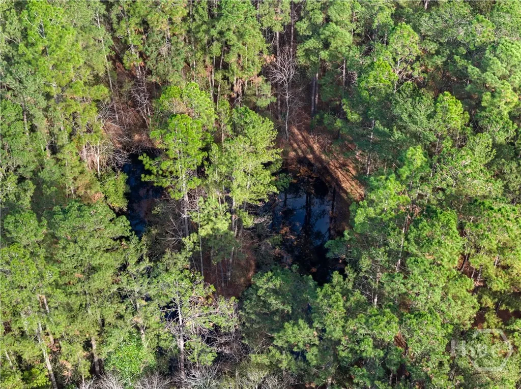 276 Highway 119 N Ellabell GA 31308
