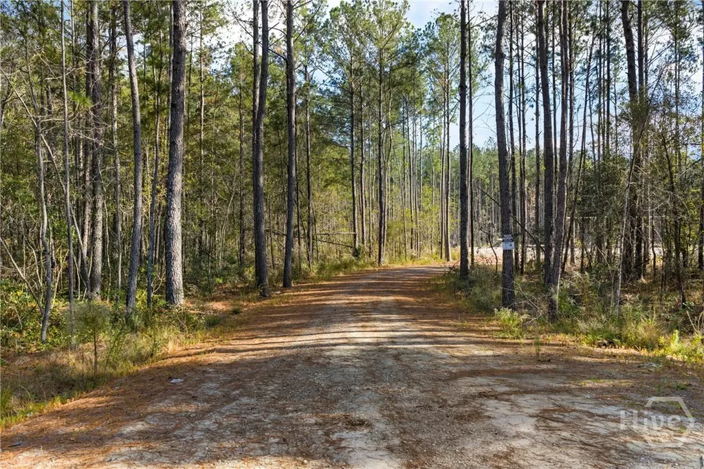 276 Highway 119 N Ellabell GA 31308