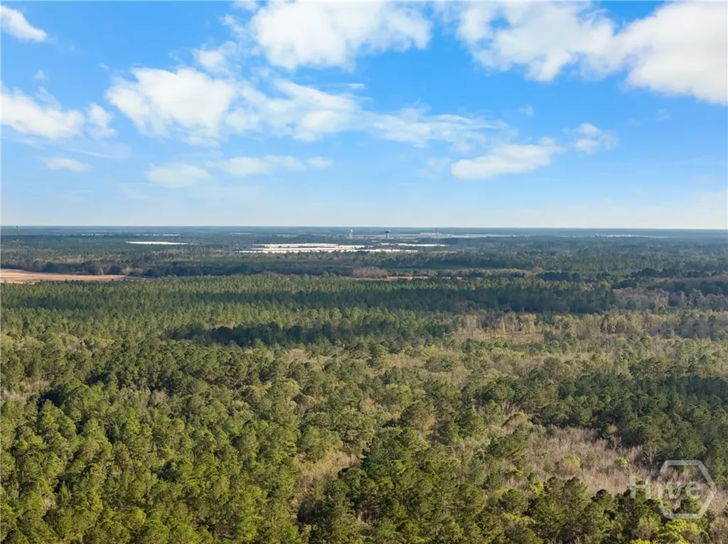 276 Highway 119 N Ellabell GA 31308