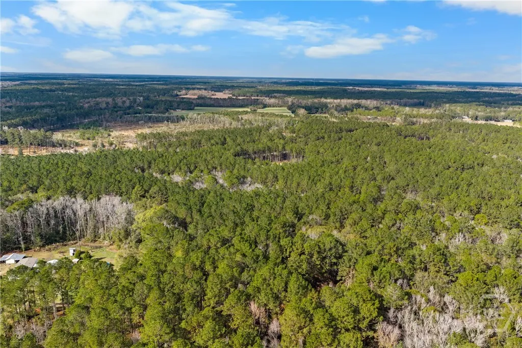 276 Highway 119 N Ellabell GA 31308