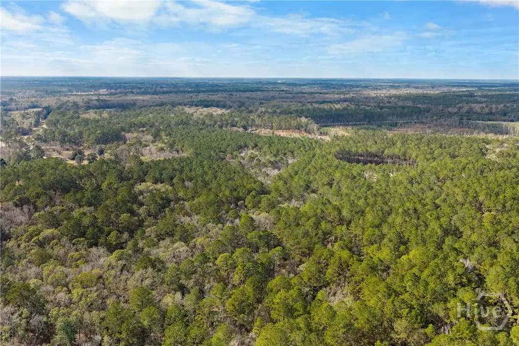 276 Highway 119 N Ellabell GA 31308