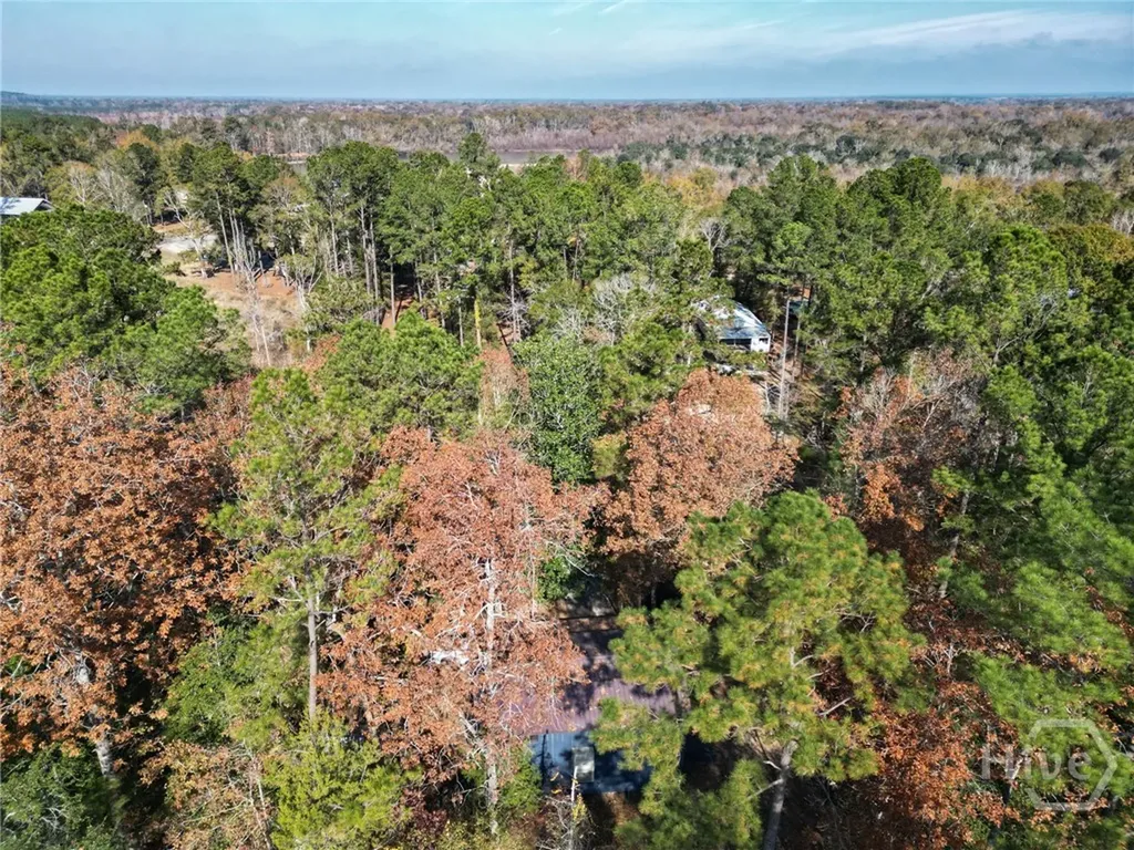 2286 Carter Bight Landing Road Surrency GA 31563