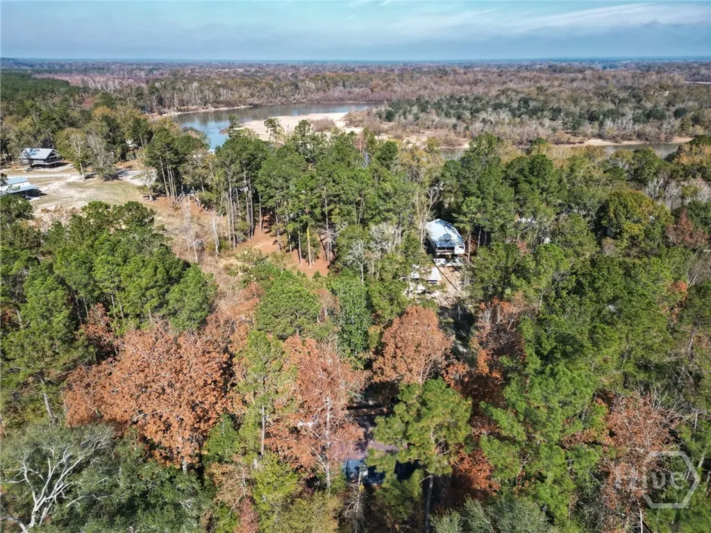 2286 Carter Bight Landing Road Surrency GA 31563