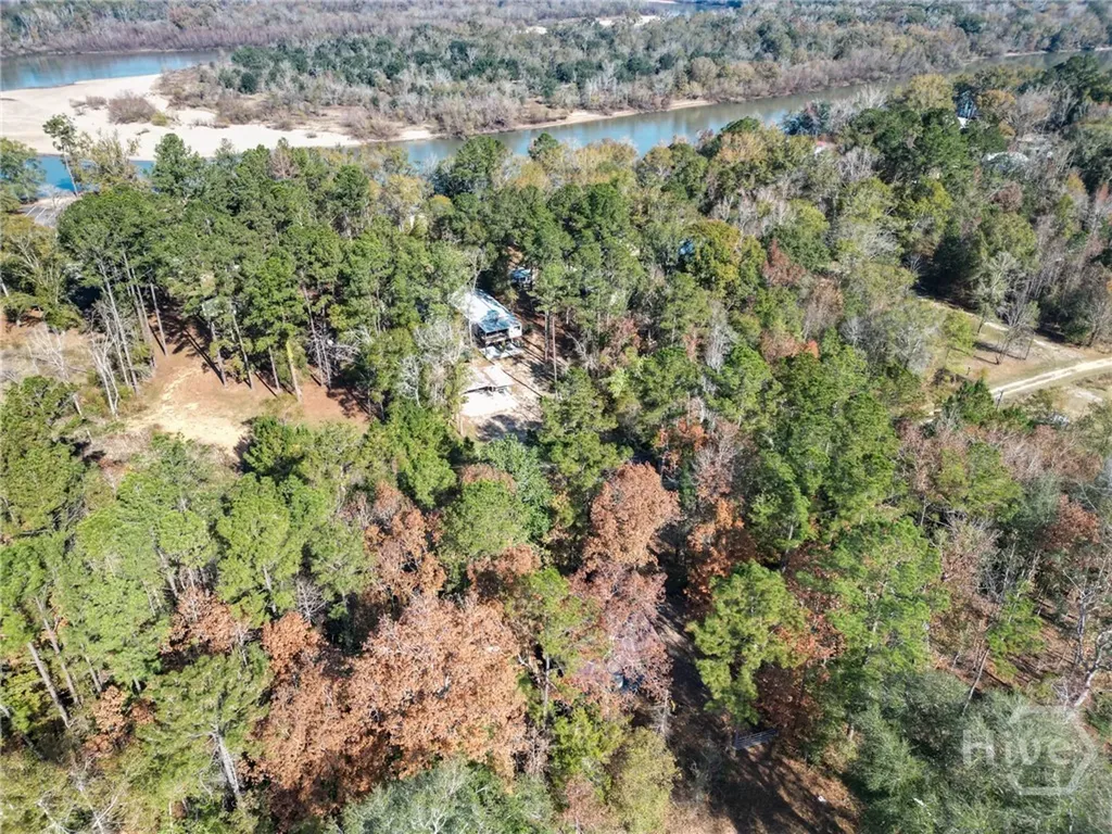 2286 Carter Bight Landing Road Surrency GA 31563