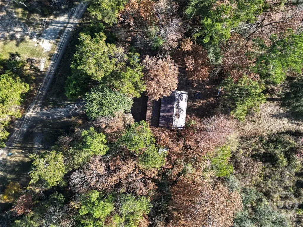 2286 Carter Bight Landing Road Surrency GA 31563