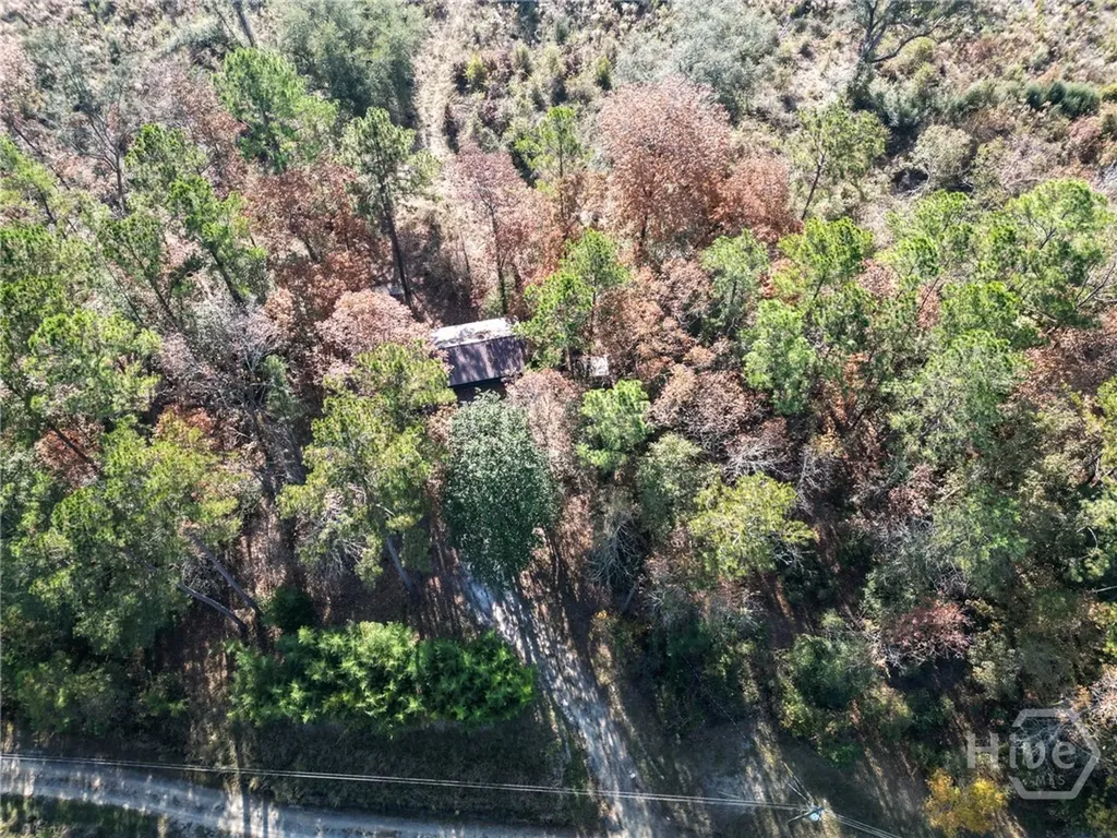 2286 Carter Bight Landing Road Surrency GA 31563