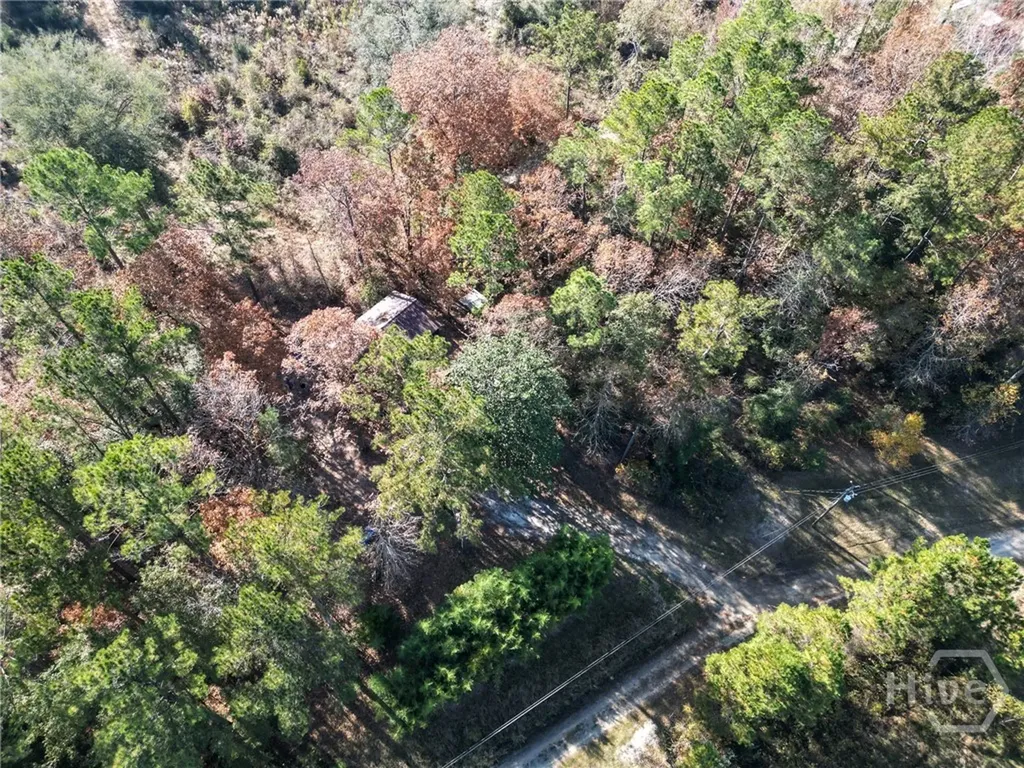 2286 Carter Bight Landing Road Surrency GA 31563