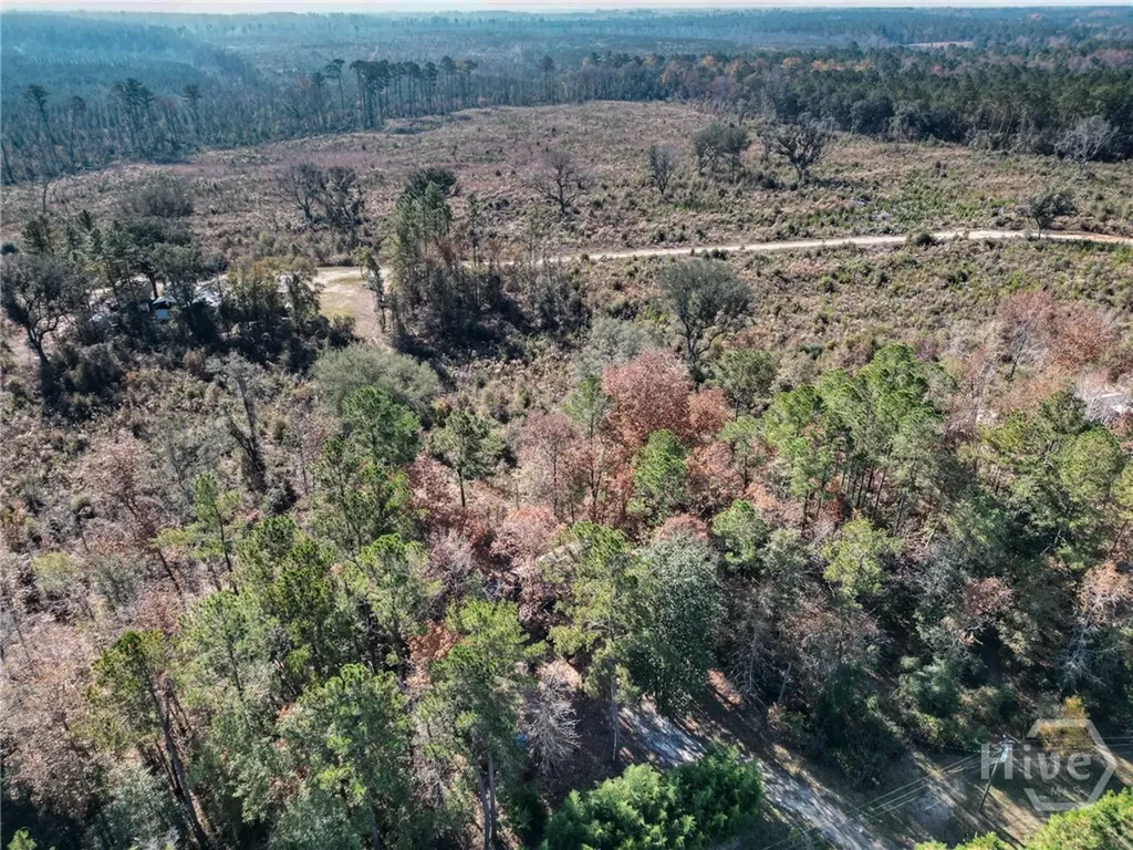 2286 Carter Bight Landing Road Surrency GA 31563