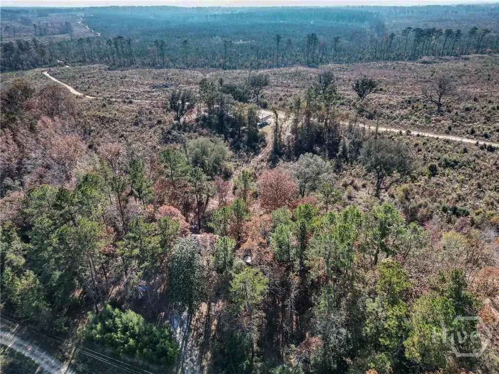 2286 Carter Bight Landing Road Surrency GA 31563