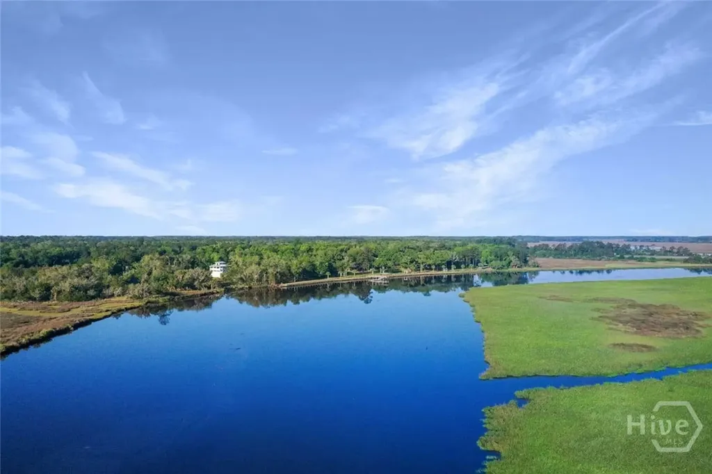 Lot 24 Blue Heron Trail Waverly GA 31565