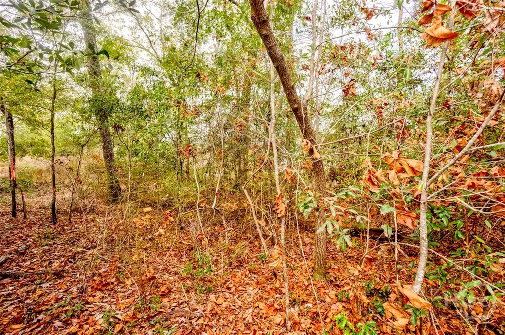 165 Cubbedge Drive Rincon GA 31326