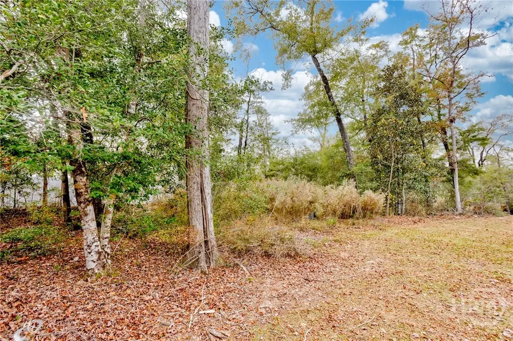 165 Cubbedge Drive Rincon GA 31326