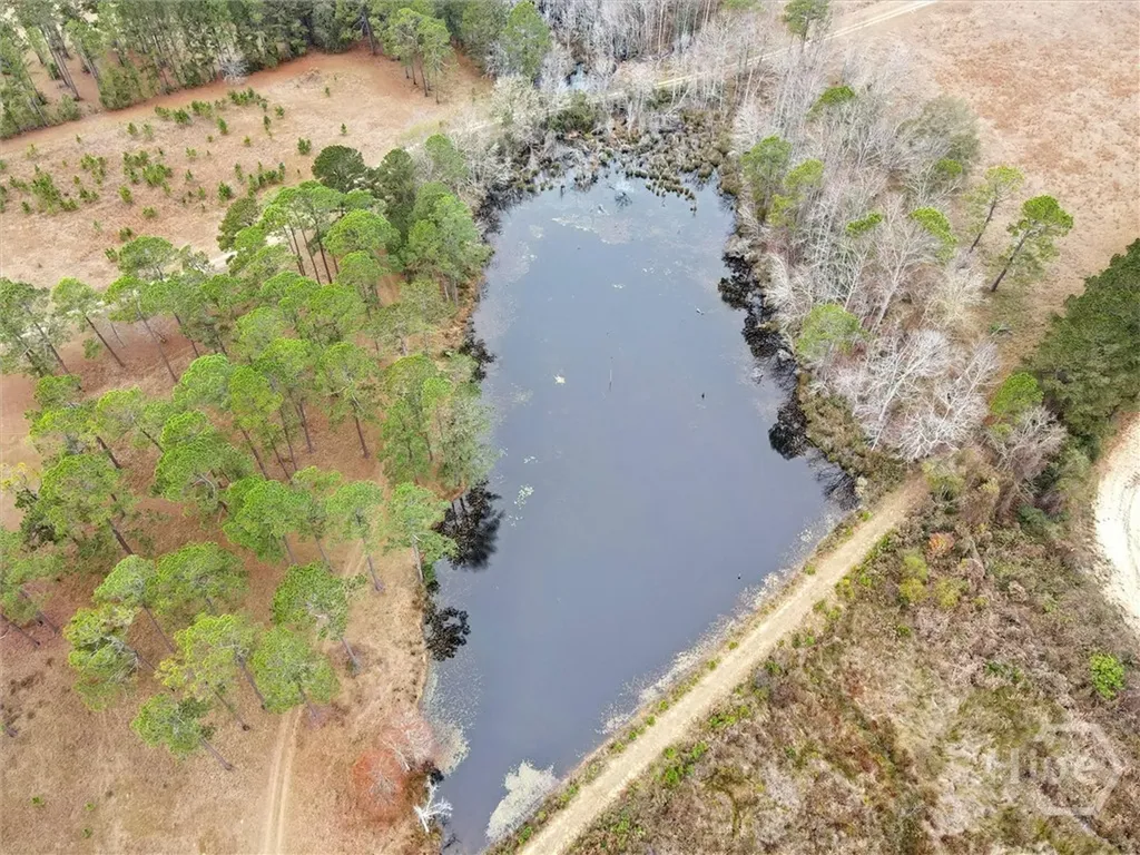 10544 Burkhalter Road Statesboro GA 30461