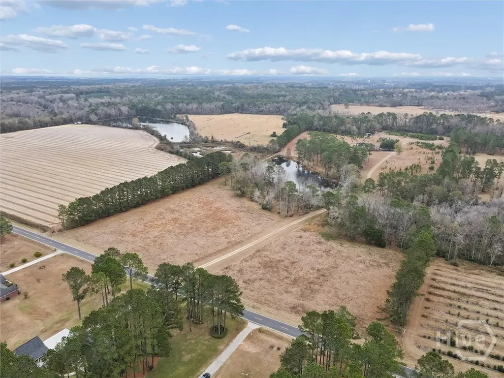10544 Burkhalter Road Statesboro GA 30461