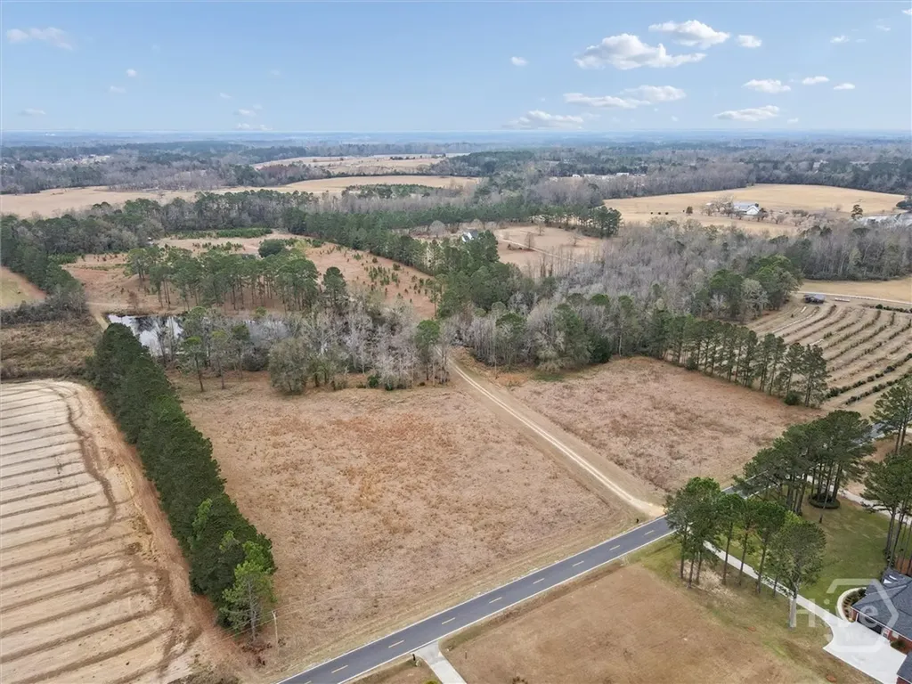 10544 Burkhalter Road Statesboro GA 30461